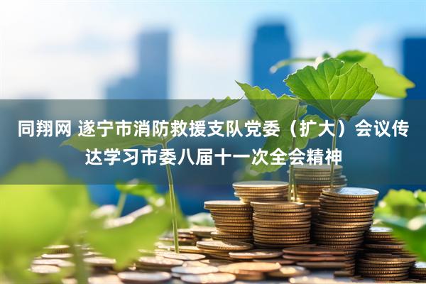 同翔网 遂宁市消防救援支队党委（扩大）会议传达学习市委八届十一次全会精神