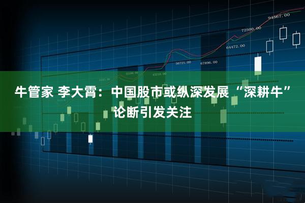 牛管家 李大霄：中国股市或纵深发展 “深耕牛”论断引发关注