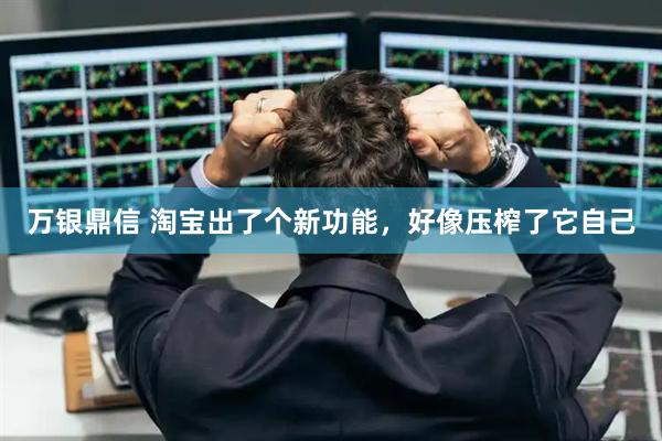 万银鼎信 淘宝出了个新功能，好像压榨了它自己